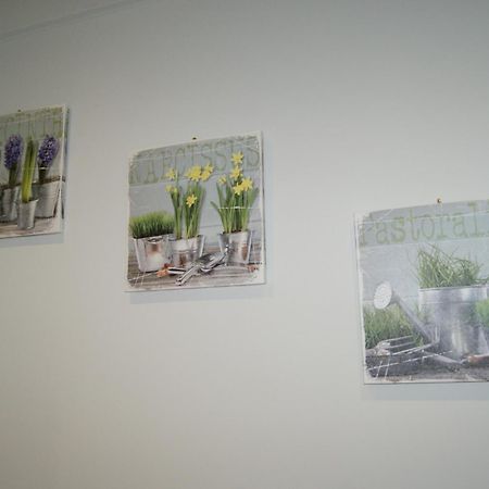 City Room Wolos Zewnętrze zdjęcie